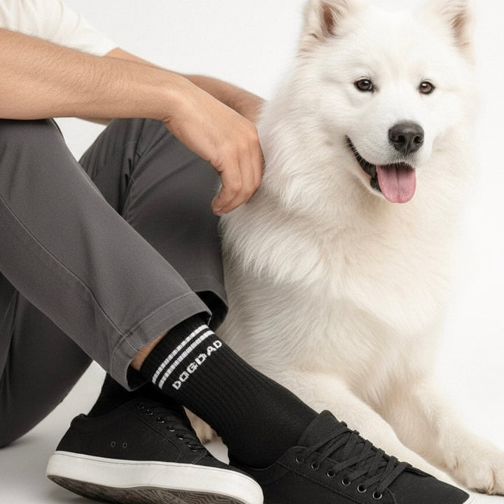 Socken DOGDAD *BLACK EDITION*