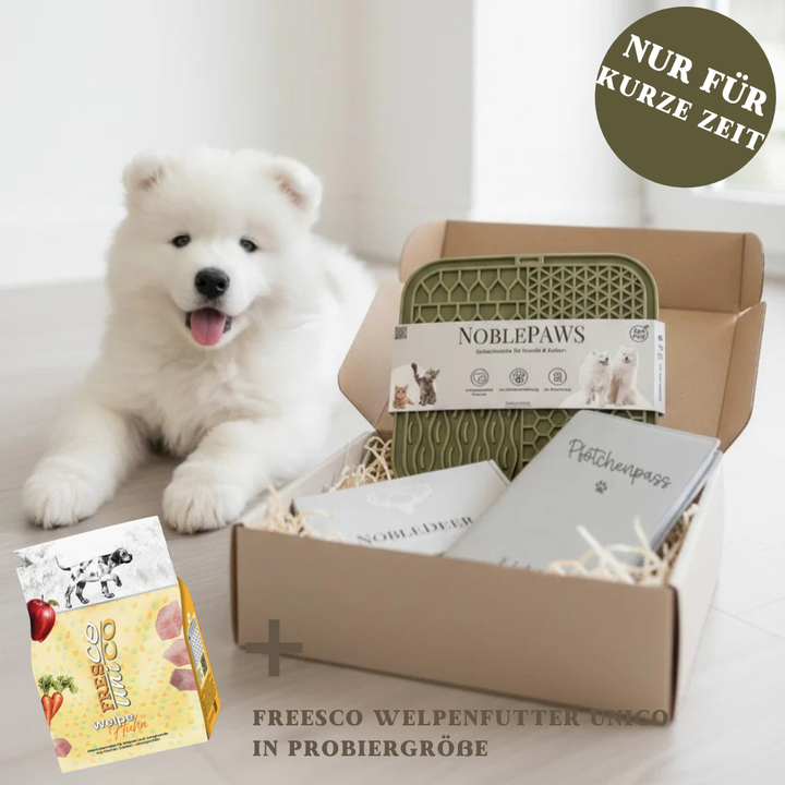 Welpenpaket BASIC