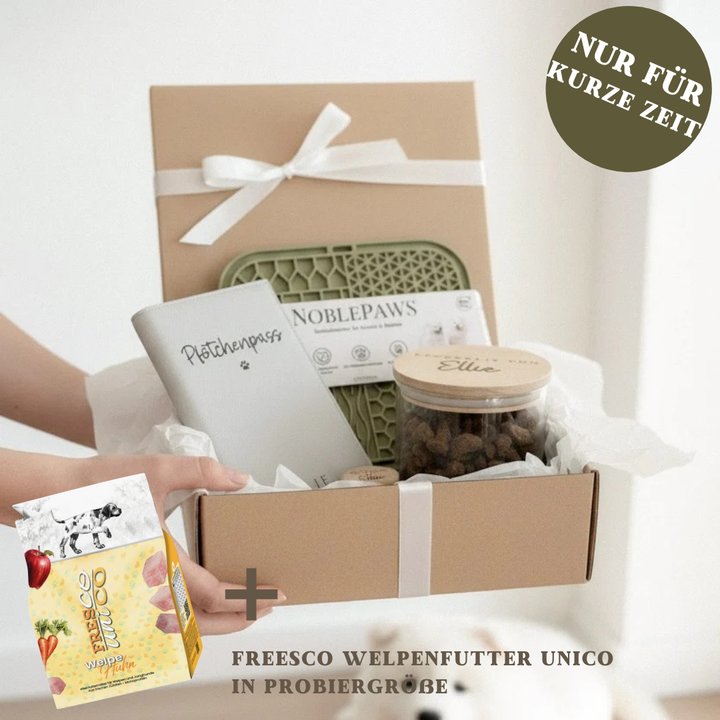 Welpenpaket PREMIUM