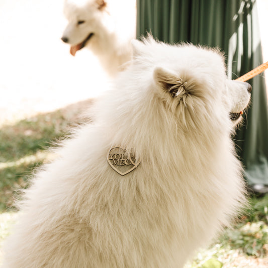 Ringkissen Hund YOU & ME