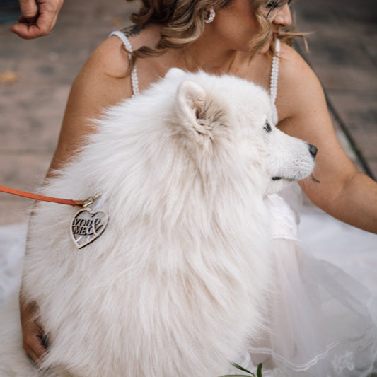 Ringkissen Hund YOU & ME