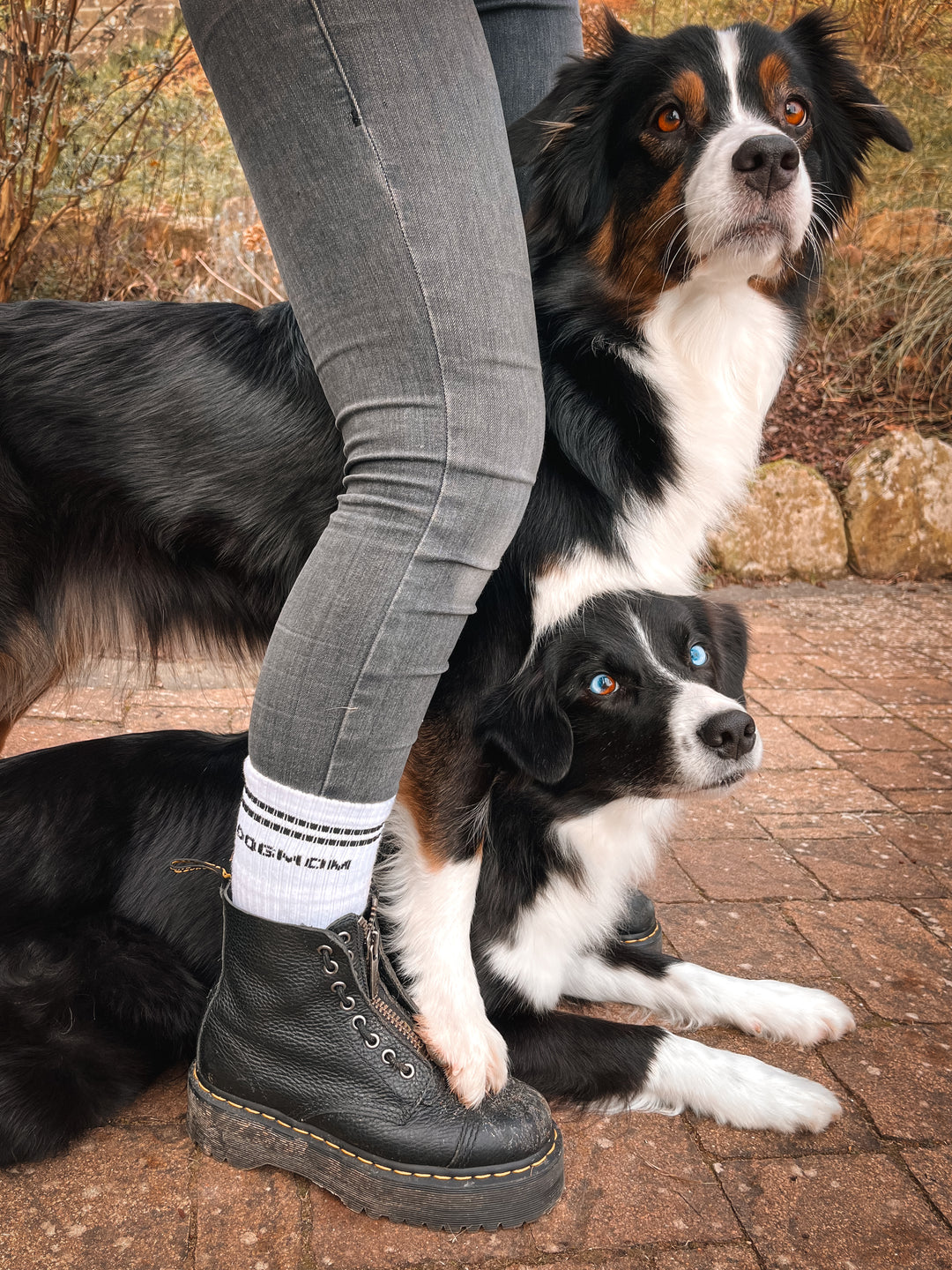 Set NobleDeer® Premium Socken DOGMOM & DOGDAD