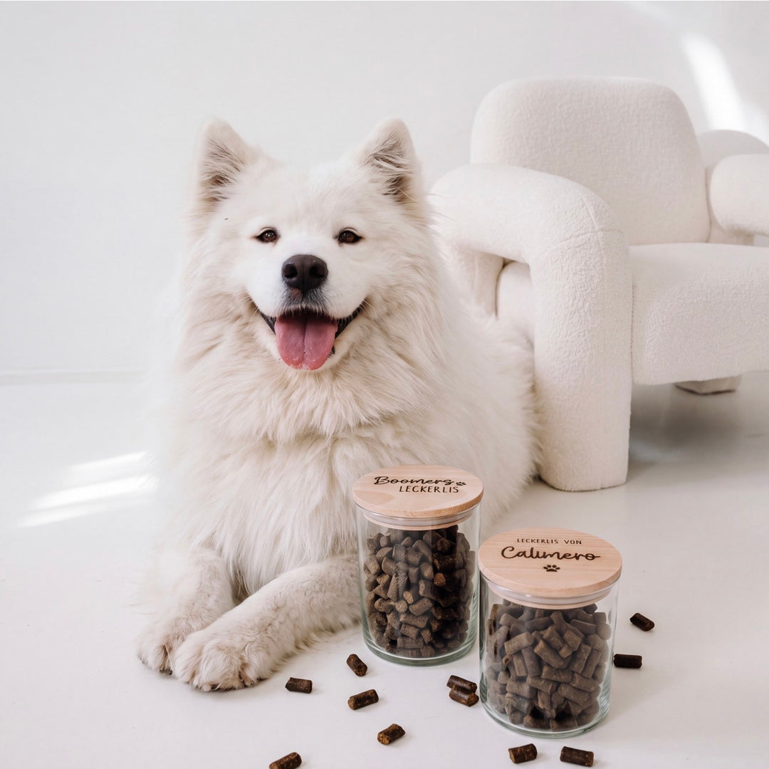 Leckerliglas für Hunde & Katzen (personalisiert)