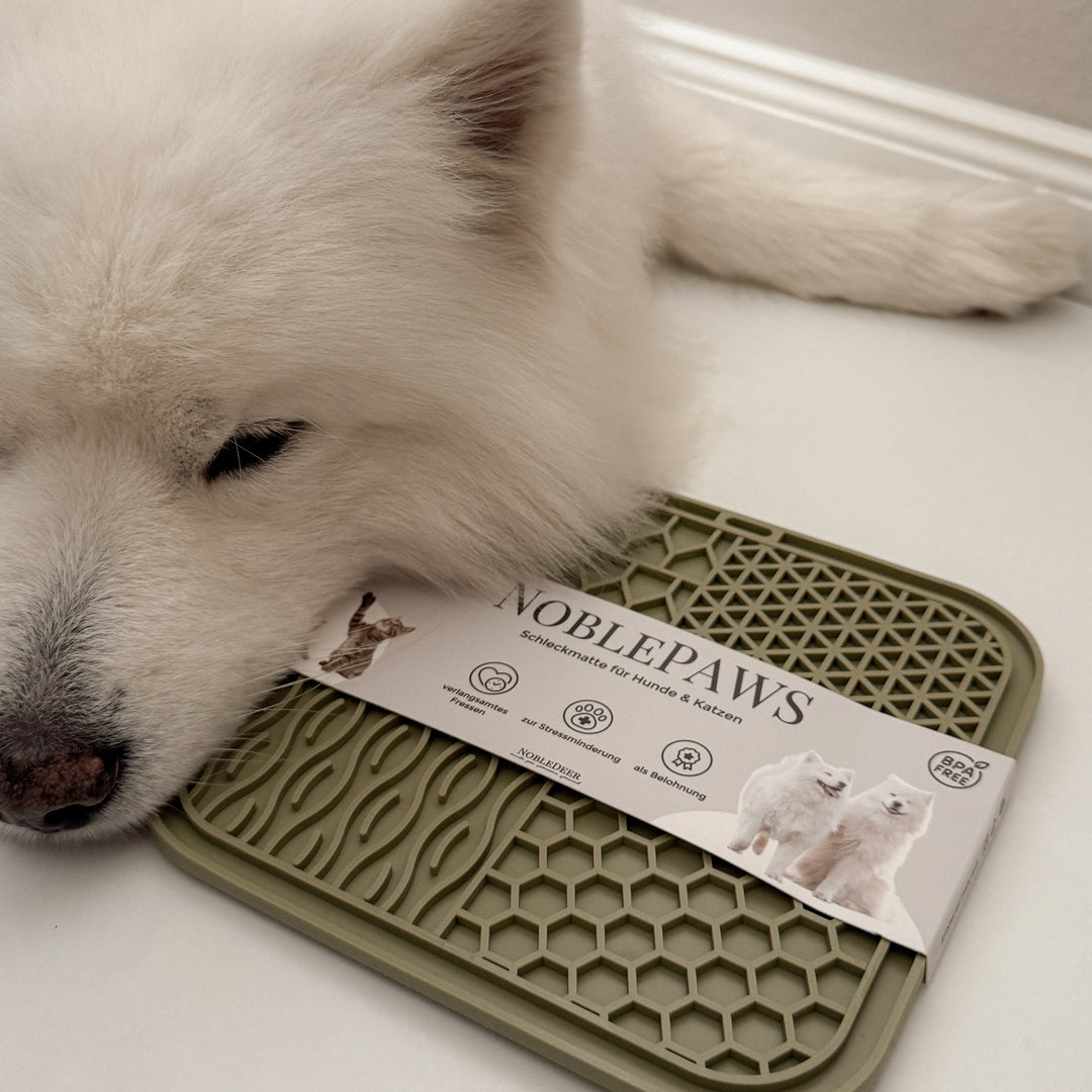 Schleckmatte für Hunde & Katzen