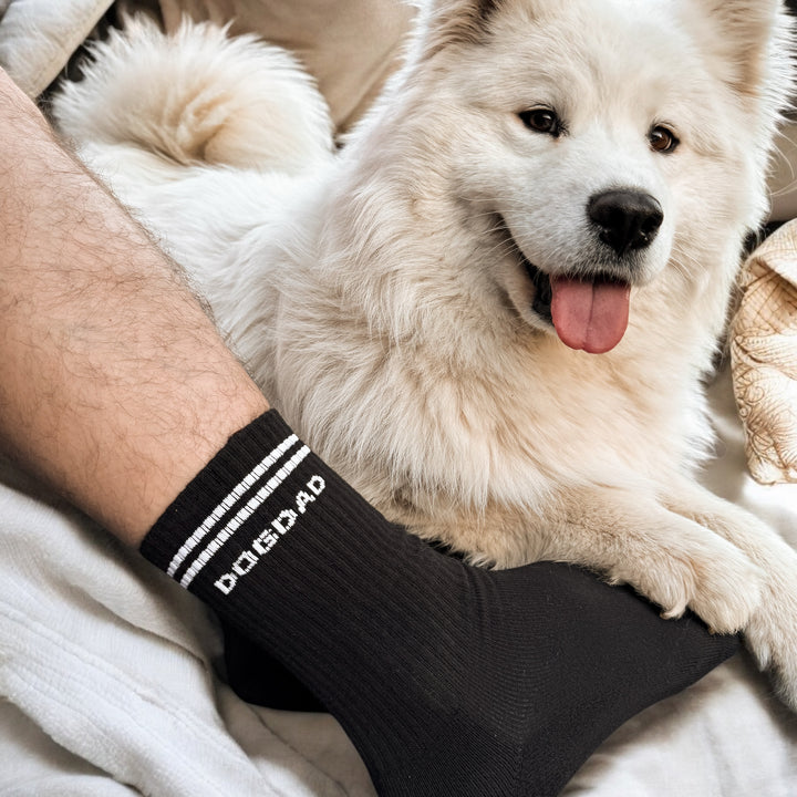 Socken DOGDAD *BLACK EDITION*
