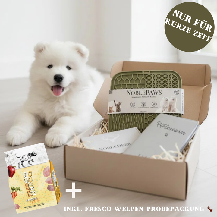 Welpenpaket BASIC