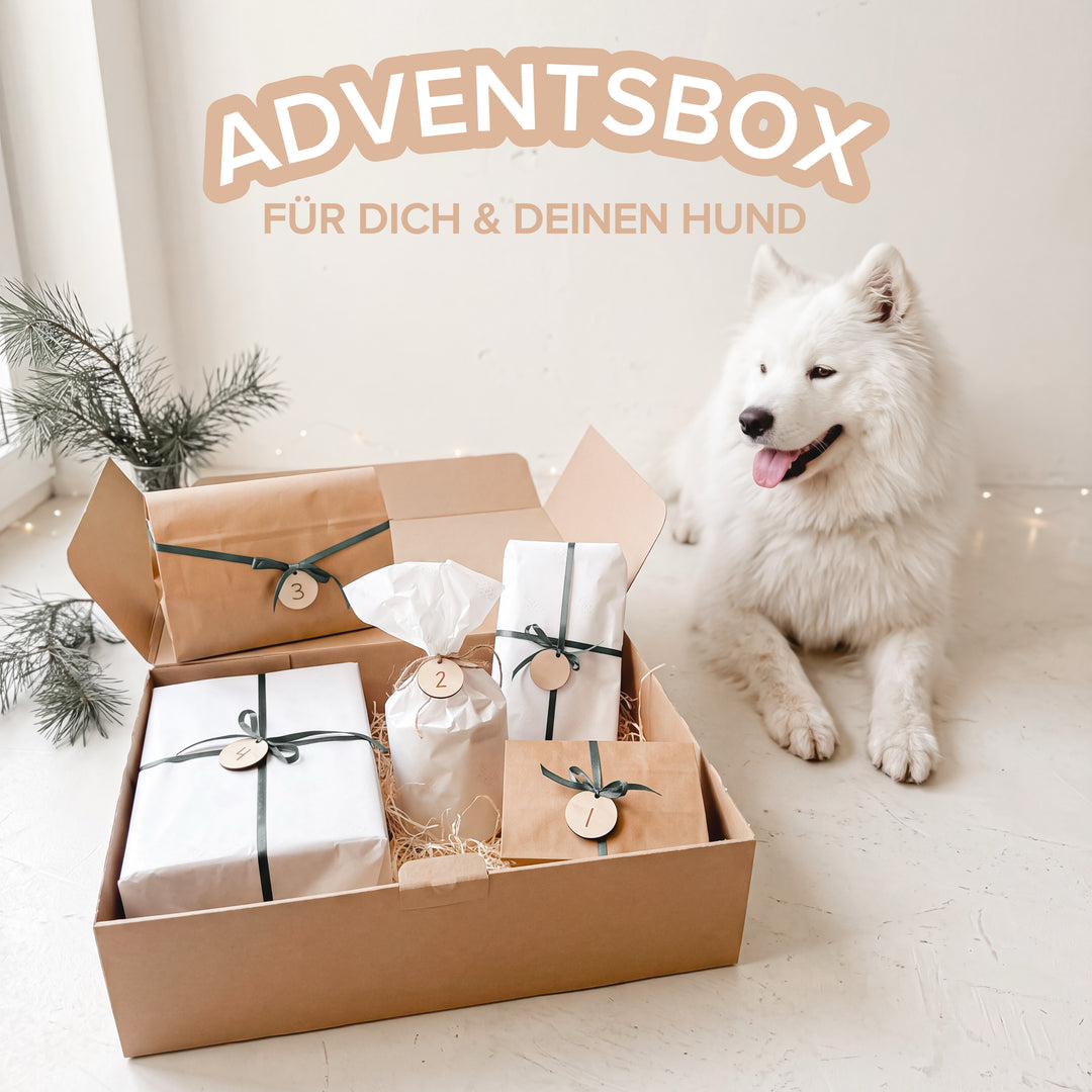 NobleDeer® Adventsbox HUNDE EDTION (personalisiert)
